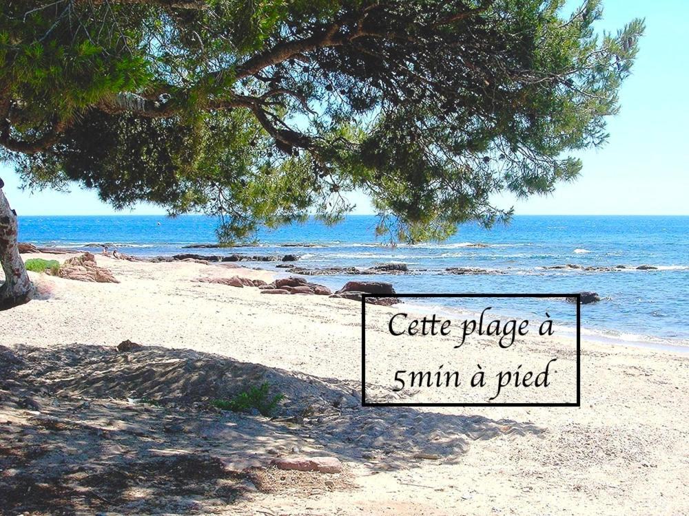 Appartement Plage Et Nature Saint-Raphaël 외부 사진